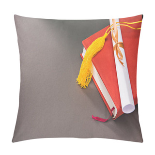 Personality  Books, Diploma With Copy Space Pillow Covers