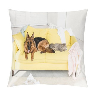 Personality  Cute And Grey Cat And Dog Lying On Yellow Sofa In Messy Apartment  Pillow Covers