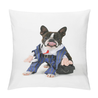 Personality  Boston Terrier Dressed Up In Suit Pillow Covers