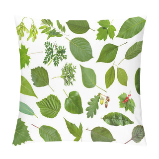 Personality  Green Summer Leaves Isolated On White Pillow Covers