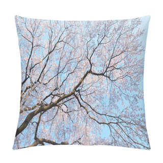 Personality  White Flowers Blossom On The Tree In The Garden Pillow Covers