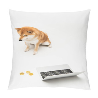 Personality  High Angle View Of Shiba Inu Dog Sitting Near Laptop And Golden Bitcoins On Light Grey Background Pillow Covers