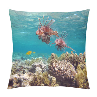 Personality  Lion Fish In The Red Sea. Pillow Covers
