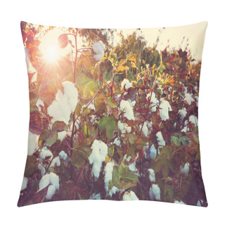 Personality  Cotton Field At Sunrise Pillow Covers