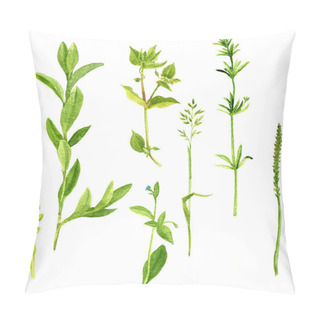 Personality  Set Of Watercolor Drawing Herbs And Leaves Pillow Covers