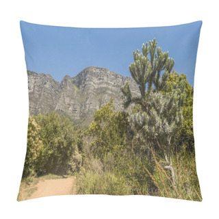 Personality  Forest, Blue Sky And Mountains In The Tablemountain National Park. Pillow Covers