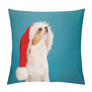 Personality  Chihuahua Dog In Red Santa Claus Hat Over Blue Background Looking Above. Christmas And New Year Pet Concept Pillow Covers
