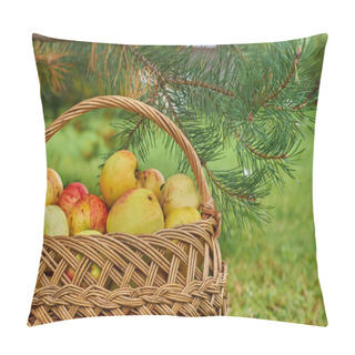 Personality  Basket Full Of Apples Outdoors Pillow Covers