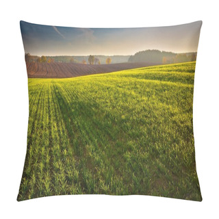 Personality  Green Young Field Landscape Pillow Covers