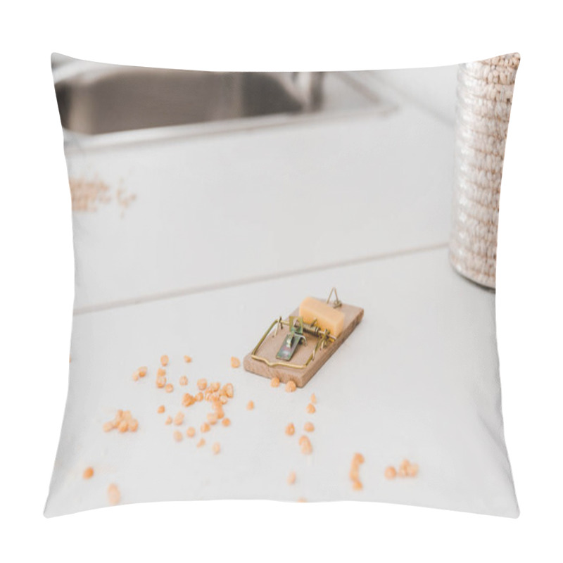 Personality  small wooden mousetrap with cube of cheese near peas on table  pillow covers