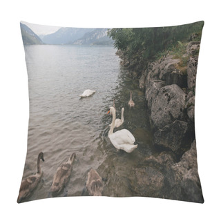 Personality  Swans Pillow Covers