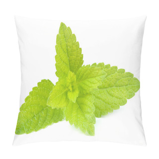 Personality  Lemon Balm (Melissa Officinalis) Isolated On White Background Pillow Covers