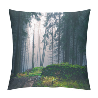 Personality  Mysterious Foggy Forest, Light Coming Through Trees, Stones, Moss, Wood Fern, Spruce Trees, Fog, Mist. Gloomy Magical Landscape At Autumn/fall. Jeseniky Mountains, Eastern Europe, Moravia.  Pillow Covers