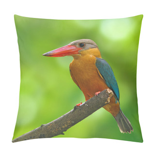 Personality  Stork-billed Kingfisher Pillow Covers