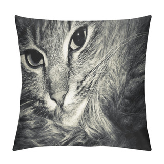 Personality  Cat Eye Pillow Covers