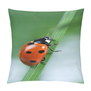 Personality  Ladybug On Grass Pillow Covers