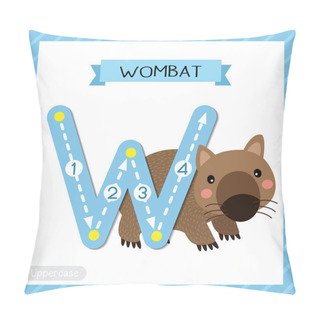 Personality  Letter W Uppercase Cute Children Colorful Zoo And Animals ABC Alphabet Tracing Flashcard Of Happy Wombat For Kids Learning English Vocabulary And Handwriting Vector Illustration. Pillow Covers