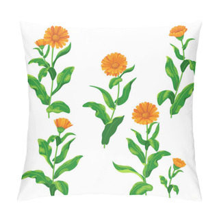 Personality  Calendula Flowers Set Pillow Covers
