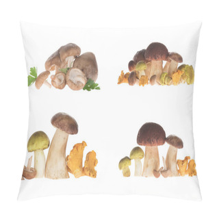 Personality  Different Types Of Mushrooms Pillow Covers