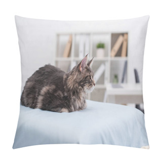 Personality  Maine Coon Sitting On Medical Couch In Vet Clinic  Pillow Covers
