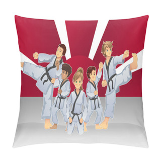 Personality  Martial Art Banner Pillow Covers