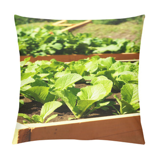 Personality  Vegetable Bed Pillow Covers