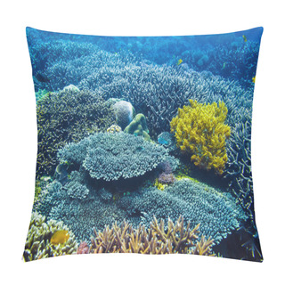 Personality  Colorful Corals And Fishes At Ocean Depth Pillow Covers