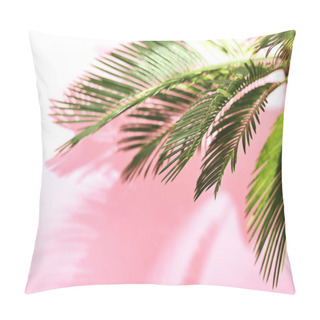 Personality  Summer Tropical Travel Concept, The Sun Is Shining Brigtly On A Bunch Of Palm Leaves, Palm Leaves Shadow Is Laying On Pastel Pink Wall, Composition With A Space For A Text Pillow Covers