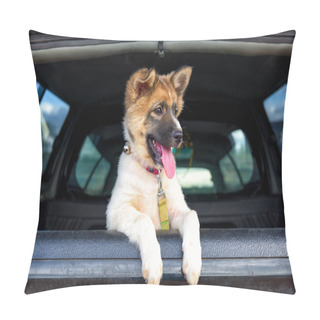 Personality  Litter Of Puppies In Pickup. Pillow Covers