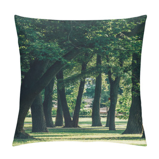 Personality  Selective Focus Of Trees On Meadow With Green Grass In Summer Park  Pillow Covers