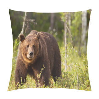 Personality  Close-up Of European Brown Bear (ursos Arctos) Male In Boreal Forest, Finland. Pillow Covers