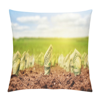 Personality  American Dollars Grow From The Ground Pillow Covers