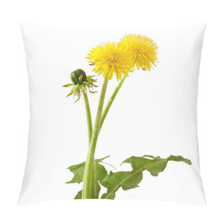 Personality  Dandelion Pillow Covers