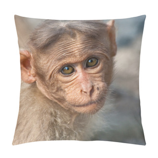 Personality  Baby Bonnet Macaque Portrait Pillow Covers