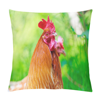 Personality  Portrait Of A Chicken In Green Grass Pillow Covers