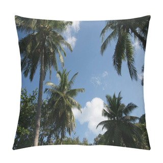 Personality  Scenic View Of Palm Trees And Cloudy Sky, Phuket, Thailand Pillow Covers