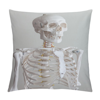 Personality  Human Skeleton Model Pillow Covers