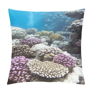 Personality  Colorful Coral Reef With Hard Violet Corals - Underwater Pillow Covers