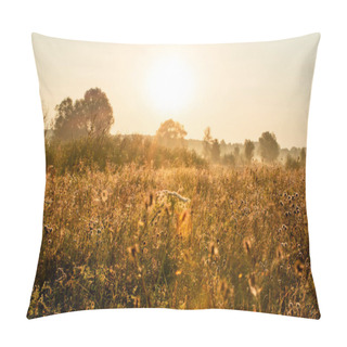 Personality  Field Of Dry Plants Under Sunset Sky Pillow Covers