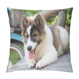 Personality  Cute Thai Bangkaew Dog Puppies Pillow Covers