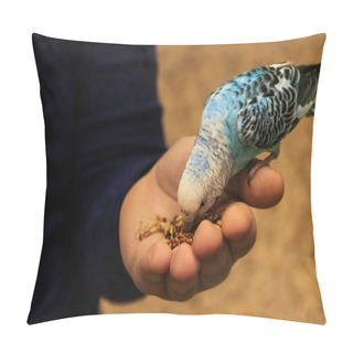Personality  Budgie Parrot Is Sitting On The Hand And Eating From The Palm.  Pillow Covers