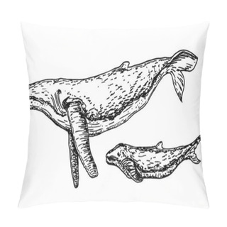 Personality  Whales. Sketch Set. Hand Drawn Whale And His Cub In Engraving Style. Zoological Illustration  Pillow Covers
