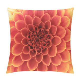 Personality  Abstract Flower Pillow Covers