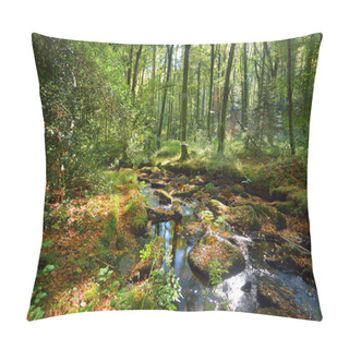 Personality  Small Stream In A Green Deciduous Forest Pillow Covers