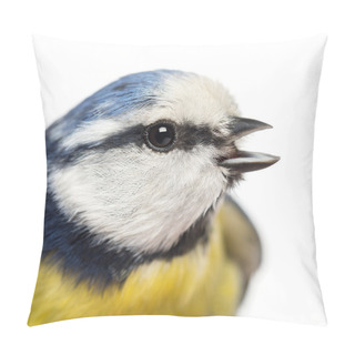 Personality  Close-up Of A Tweeting Blue Tit, Cyanistes Caeruleus, Isolated O Pillow Covers
