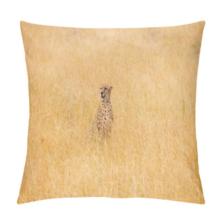 Personality  African Cheetah Sitting In Long Grass Pillow Covers