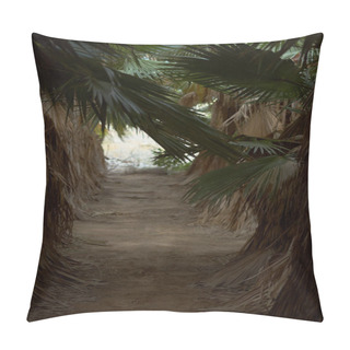 Personality  Perspective View Of Footpath Lined With Palm Trees Lush And Dry Foliage Leaves. Tropical Nature Background Tropical Trees Grove, Empty No People Sandy Walkway, Daylight. South Of Spain Pillow Covers