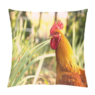 Personality  Beautiful Rooster And Hens On Nature Background Pillow Covers