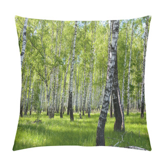 Personality  Summer Birch Forest Landscape Pillow Covers