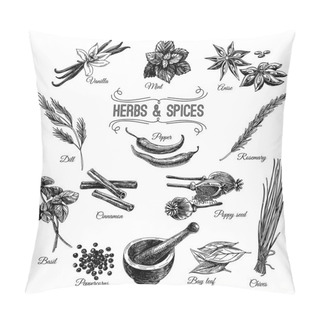 Personality  Vector Hand Drawn Set With Herbs Spices. Illustrations Collectio Pillow Covers